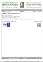 ⁦عرض 3 كيلو عسل سدر جبلي إماراتي⁩ - الصورة ⁦2⁩